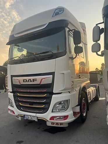 даф одиночка: Тягач, DAF, 2020 г. — 2