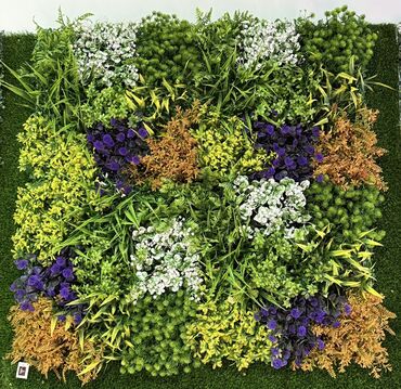 Güzgülər: Güzgü Divar üçün — 20