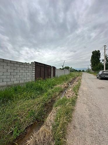 ысык куле: 10 соток, Курулуш, Сатып алуу-сатуу келишими, Кызыл китеп — 4