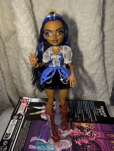 Игрушки: Кукла монстер хай( Monster high) Робекка Стим, базовая3 G, на — 8