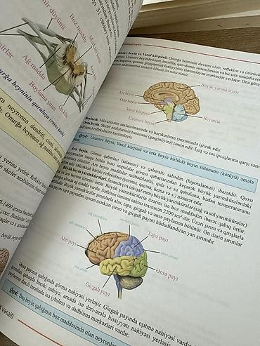 Kitablar və jurnallar: Biologiya – Abituriyentlər üçün dərs vəsaiti,V nəşr,Güvən nəşriyyatı — 3