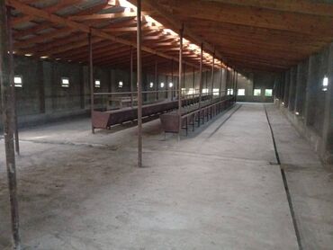 Torpaq sahələrinin satışı: 40 sot, Kənd təsərrüfatı, Mülkiyyətçi, Kupça (Çıxarış) — 2