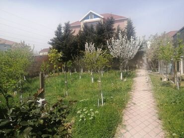 kirayə evlər 150 azn v Azərbaycan | Xalçalar: 70 kv. m, 3 otaqlı, Qaz, İşıq, Su