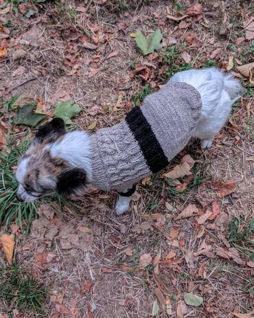 Oprema za kućne ljubimce: KlotGoget pleteni džemper LUKI za male i velike pse * Ručni rad od — 7
