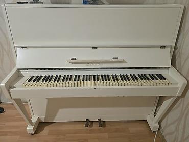 casio sintezator: Cakkuzi – 150 AZN Ölçü: 1.70 x 1.10 Ünvan: Dərnəgül yolu Kod — 1