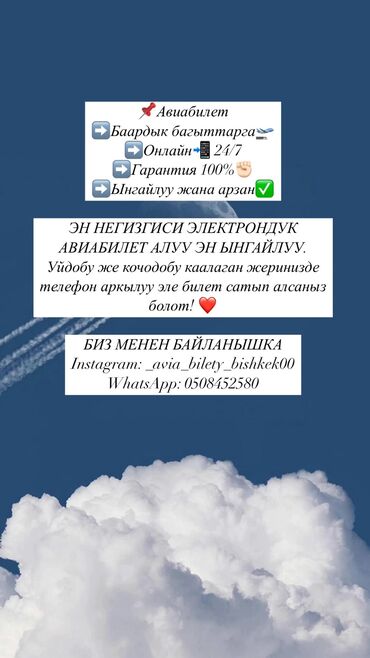 реклама банер: ЭН НЕГИЗГИСИ ЭЛЕКТРОНДУК АВИАБИЛЕТ АЛУУ ЭН ЫНГАЙЛУУ. Уйдобу же