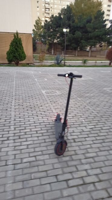 track scooter: Scooter Pro 2