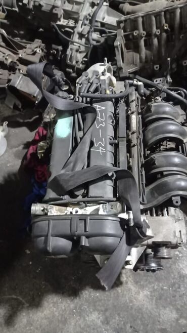 двигатель на форд фокус 1: Двигатели, моторы и ГБЦ