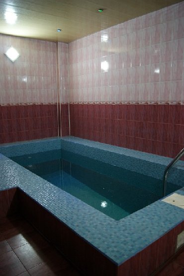 русская баня бишкек в Кыргызстан | Продажа домов: Сауна | Бильярд