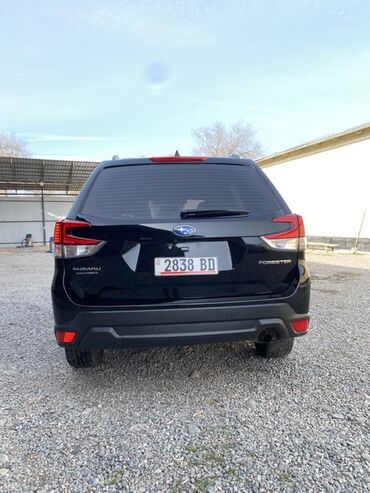 Subaru: Subaru Forester: 2019 г., 2.5 л, Автомат, Бензиновая, Кроссовер — 6
