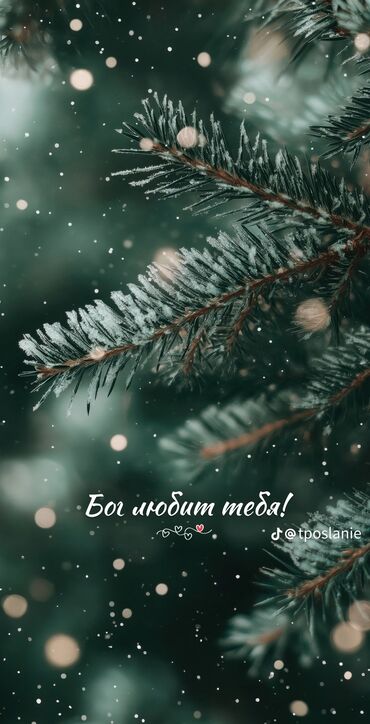 сниму квартиру в месяц: 2 комнаты, Собственник, С подселением, С мебелью частично
