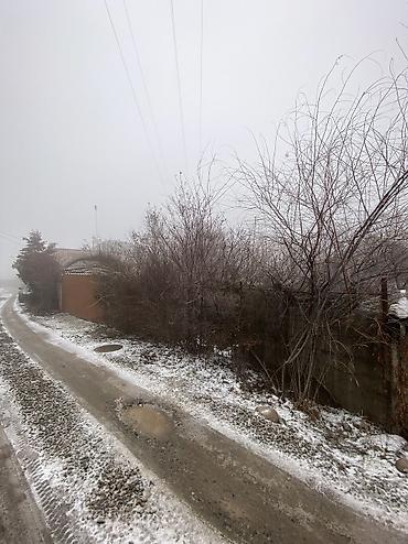 Продажа участков: 9 соток, Красная книга at lalafo.kg — 4 Продажа участков: 9 соток, Красная книга — 4