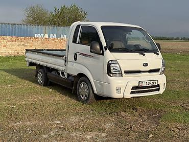 Легкий грузовой транспорт: Легкий грузовик, Kia, Стандарт, До 1 т, Новый — 3