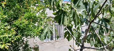 Ağaclar: Heyet evi tecili satilir torpax qiymetine yerlesir xirdalanda -da lalafo.az — 8 Ağaclar: Heyet evi tecili satilir torpax qiymetine yerlesir xirdalanda — 8