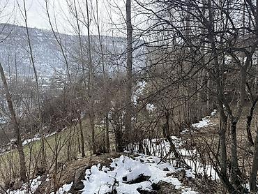 жаны уйлор: 28 соток, Курулуш, Кызыл китеп — 1
