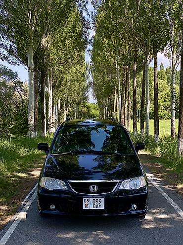 devo matiz: Honda Odyssey: 2002 г., 2.3 л, Автомат, Бензин, Универсал — 1