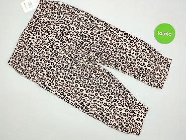 pull snd bear: Spodnie dresowe damskie, rozmiar 3XL — 3
