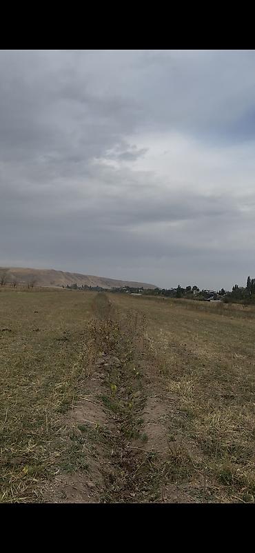село рот фронт: 1904 соток, Для сельского хозяйства, Договор дарения — 4