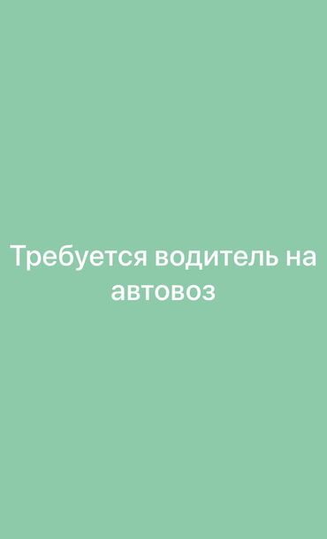 спиринтер такси: Требуется водитель на автовоз актрос