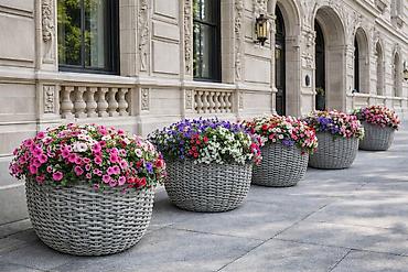 Горшки для растений: Кашпо из искусственного ротанга. Ручная работа. Эксклюзив. Объем 10л — 1