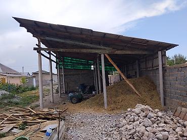 сумка для собак: Продаю большой сеновал поможем разобрать — 3