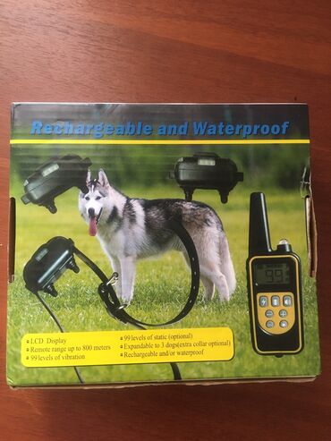 купить собаку той пудель: Ошейник для обучения собак с дистанционным управлением