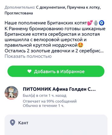 Продажа кошек: Британская короткошёрстная, 1 месяц, Мальчик, Серебристая шиншилла, С документами