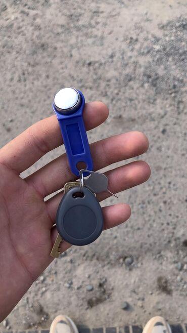 Другая автоэлектроника: Чип ключ для домофона чип ключ от домофонов Чип ключ калитка Чип ключ — 6