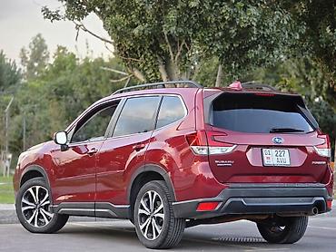 forest: Subaru Forester: 2019 г., Кроссовер — 5