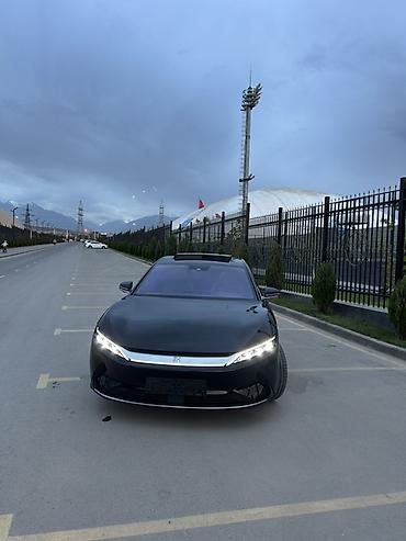 srv 2: BYD Han EV: 2021 г., Электромобиль, Фастбек — 8