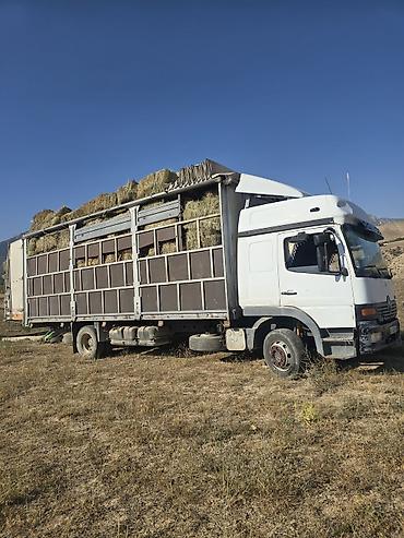 мтз ош: Жүк ташуучу унаа, Mercedes-Benz, Стандарт, 7 т, Колдонулган — 5