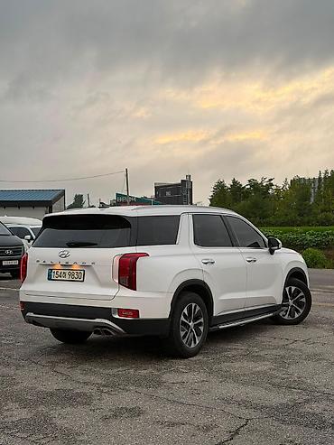 эйрбег: Hyundai Palisade: 2022 г., Автомат, Бензин, Кроссовер — 6