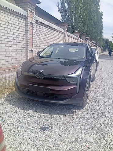 Другие автомобили: Netto u pro
Запас хода406
120 кВт — 3