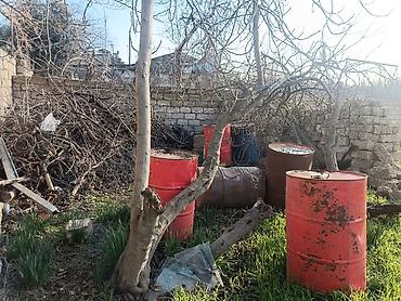 maştaga: 4 sot, Kənd təsərrüfatı, Barter mümkündür, Müqavilə — 2