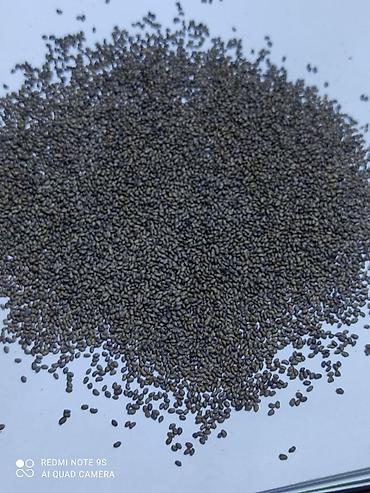 Другие зерновые культуры: Бедэ урук сатылат,Жогорку сорт,тап — 1