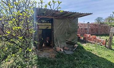 Kuće na prodaju: Na prodaju kuća u Bačkom Gračacu, Opština Odžaci, 97 m2 - 2 spavaće — 13