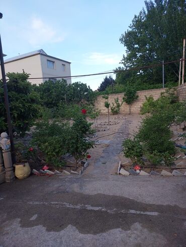 Bağ evlərinin kirayəsi: Novxanı, 90 kv. m, 3 otaqlı, Hovuzsuz, İnternet, Qaz, Su — 19