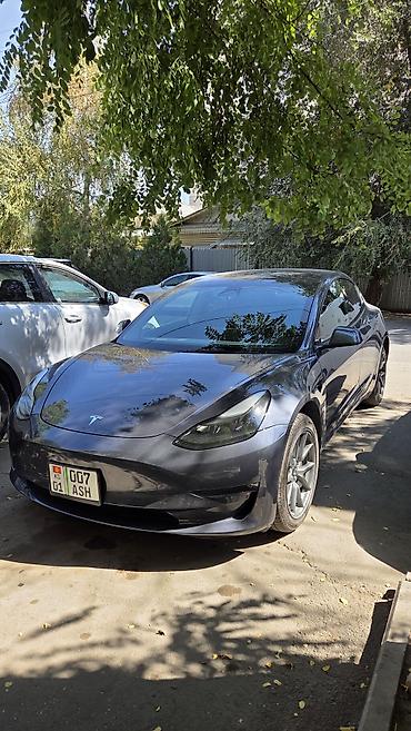 byd dolphin: Tesla Model 3: 2023 г., Автомат, Электромобиль, Седан — 4
