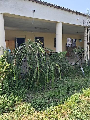 Torpaq: 12 sot, Mülkiyyətçi, Kupça (Çıxarış) — 1