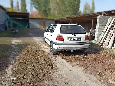 215 65 16 с: Volkswagen Golf: 1992 г., 1.8 л, Механика, Бензин, Хэтчбэк — 4