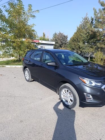 машины 2010 года и выше: Chevrolet Equinox: 2019 г., 1.5 л, Автомат, Бензин, Кроссовер