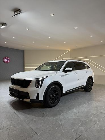 зонт на лобовой: Kia Sorento: 2024 г., 1.6 л, Автомат, Гибрид, Кроссовер — 2