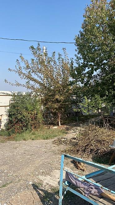 проек дом: Срочно продам города Карасуу участок Коммунизм Жоош айыл Султанбаев — 8
