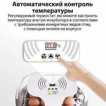 Товары и оборудование для с/х животных: Инкубатор на 16 яиц #Инкубатор #БизнесИнкубатор — 6