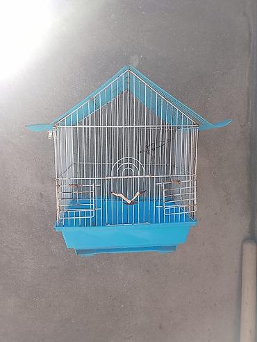 qus qaz: Quş qəfəsi – dam formalı, mavi rəngdə - Material: metal çubuqlu — 1