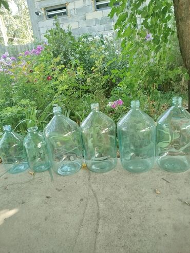 Бутылки: Бутылки