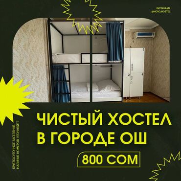 хостел политех: 222 м²