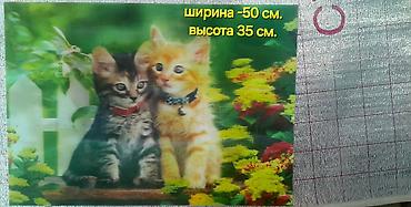 чтения: Комплект школьных учебников для 4 кл.и для 6 кл.в хор сост по 250 сом — 8