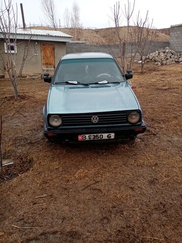 Volkswagen: Volkswagen Golf: 1989 г., 1.8 л, Механика, Бензин, Хетчбек
