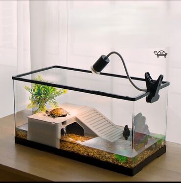 объявления о пропаже животных: 🐢 Идеальный аквариум для водных черепах и рыб! Создайте комфортный и